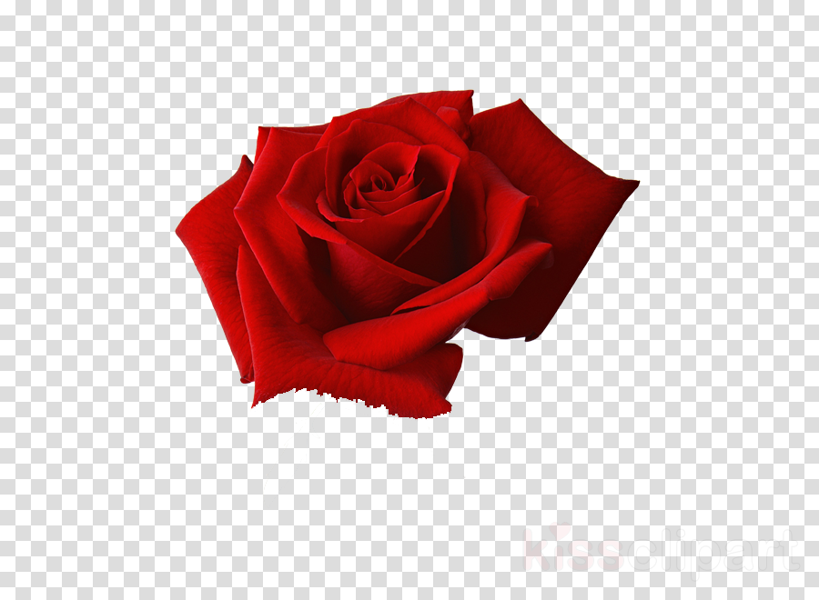 Heart Emoji Iphone Clipart Heart Royalty-free - Iphone Heart Emoji Png (900x660), Png Download