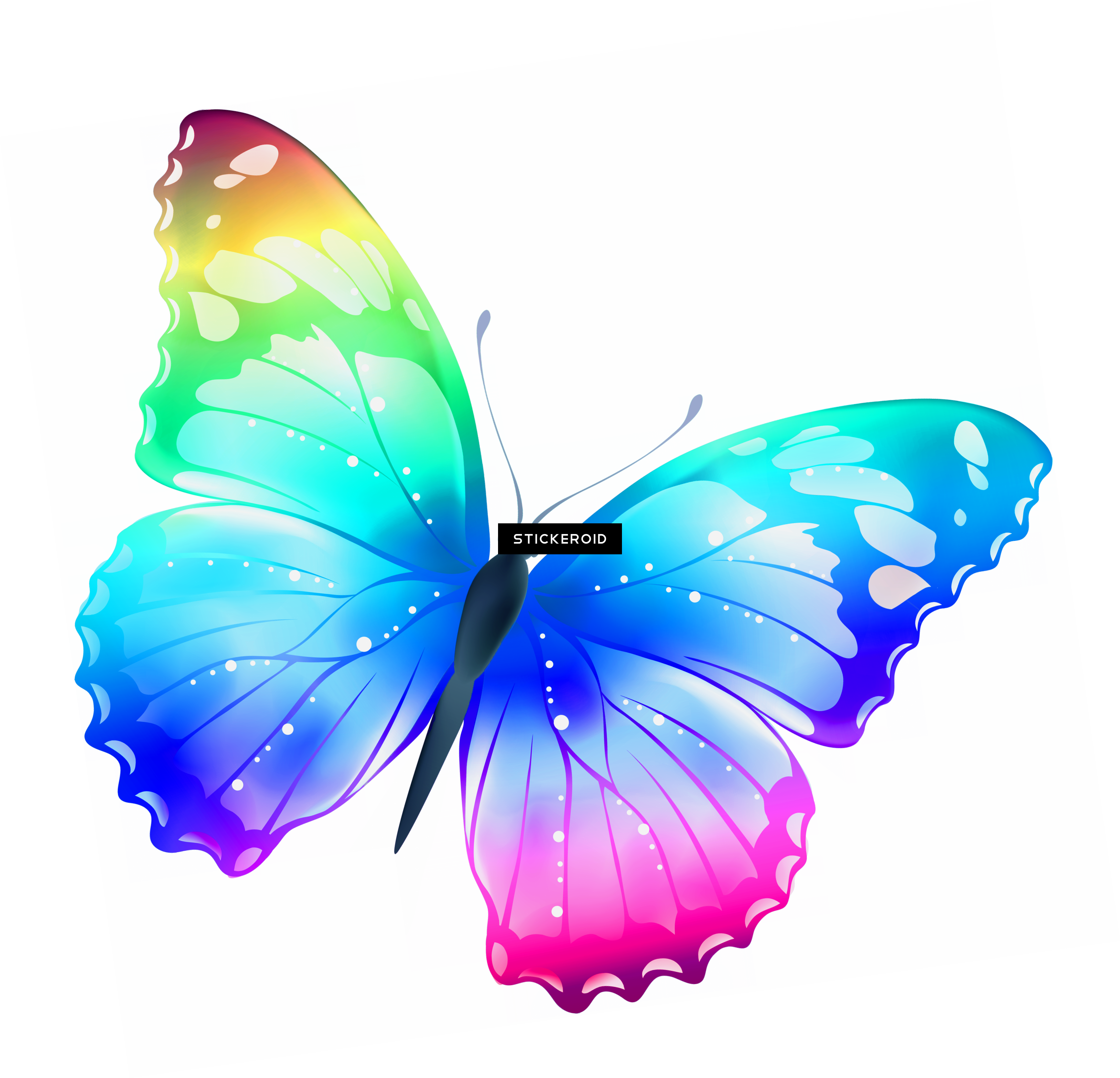 Butterflies Butterfly - Butterfly Canvas Lunch Tote (3254x3131), Png Download