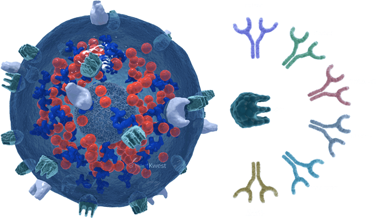 Image Is Not Available - Creative Arts (749x432), Png Download