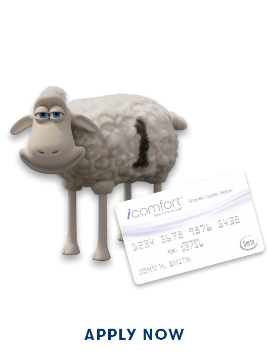 0% Financing Up To 60 Months - Finance (640x822), Png Download