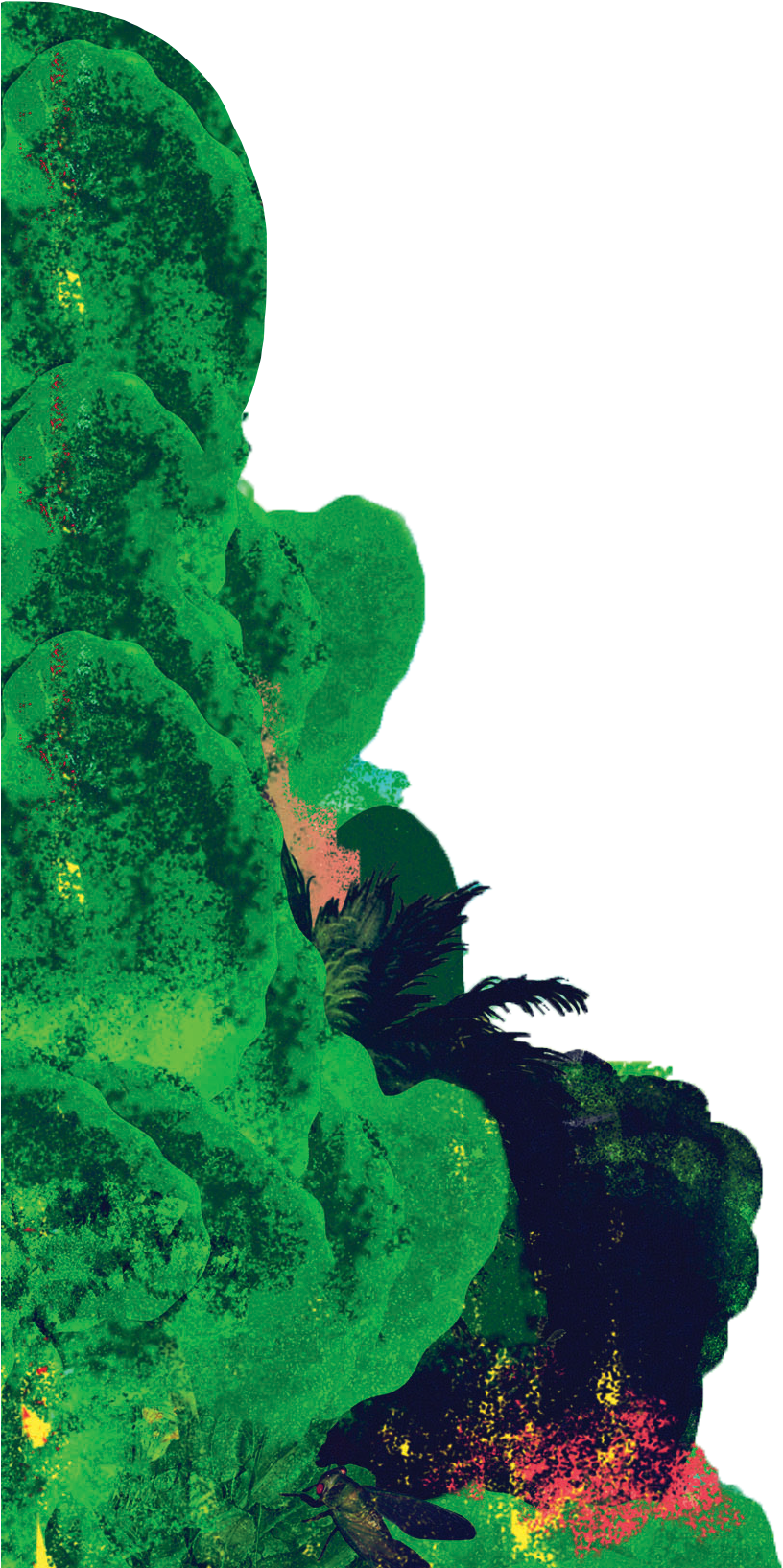 Meet The Band - Green Algae (1013x1634), Png Download