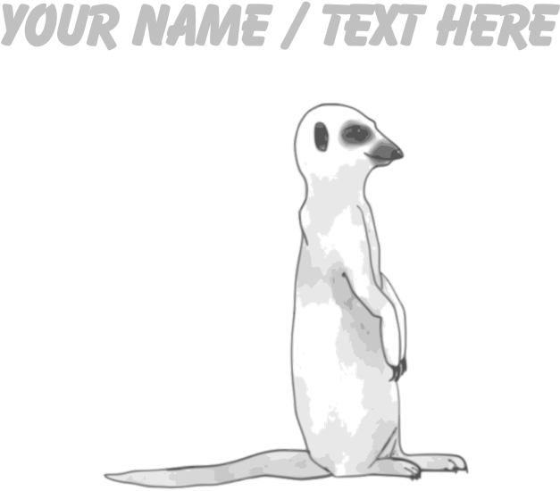 Custom Meerkat Drinking Glass (700x700), Png Download