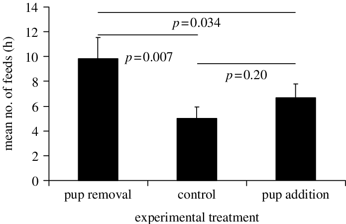 Mean Number Of Feeds To A Focal Meerkat Pup Under Three - Mean (695x450), Png Download