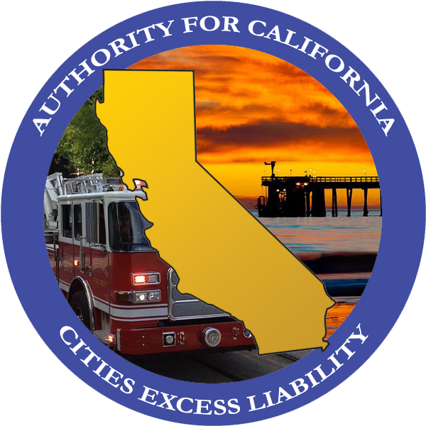 Accel Logo - Dr Nkosazana Dlamini Zuma Municipality Logo (612x626), Png Download