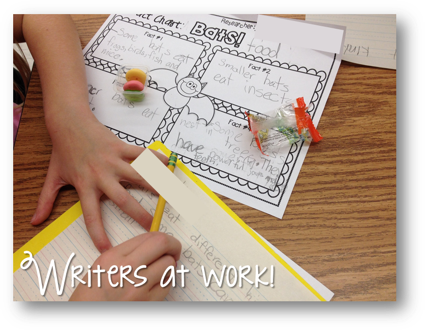 They Each Had A Krabby Patty Nearby To Keep Them Focused (888x687), Png Download