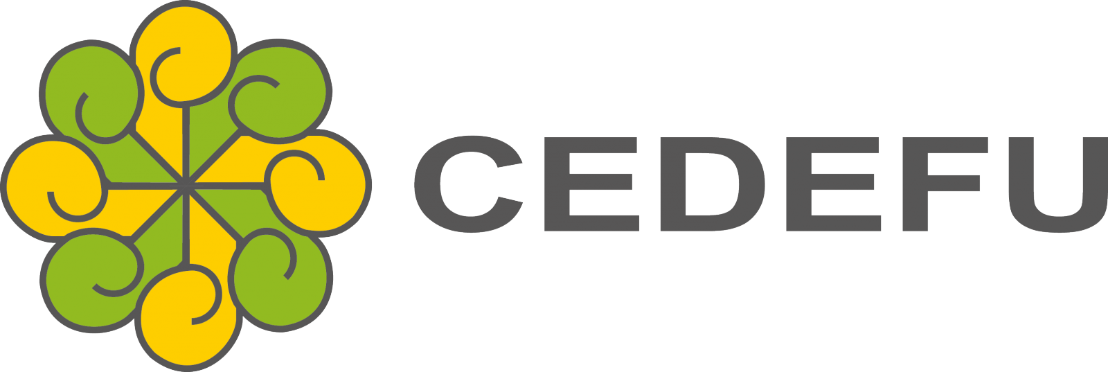 Color, Descargar - Logo Công Ty Tnhh Vkx (1600x537), Png Download