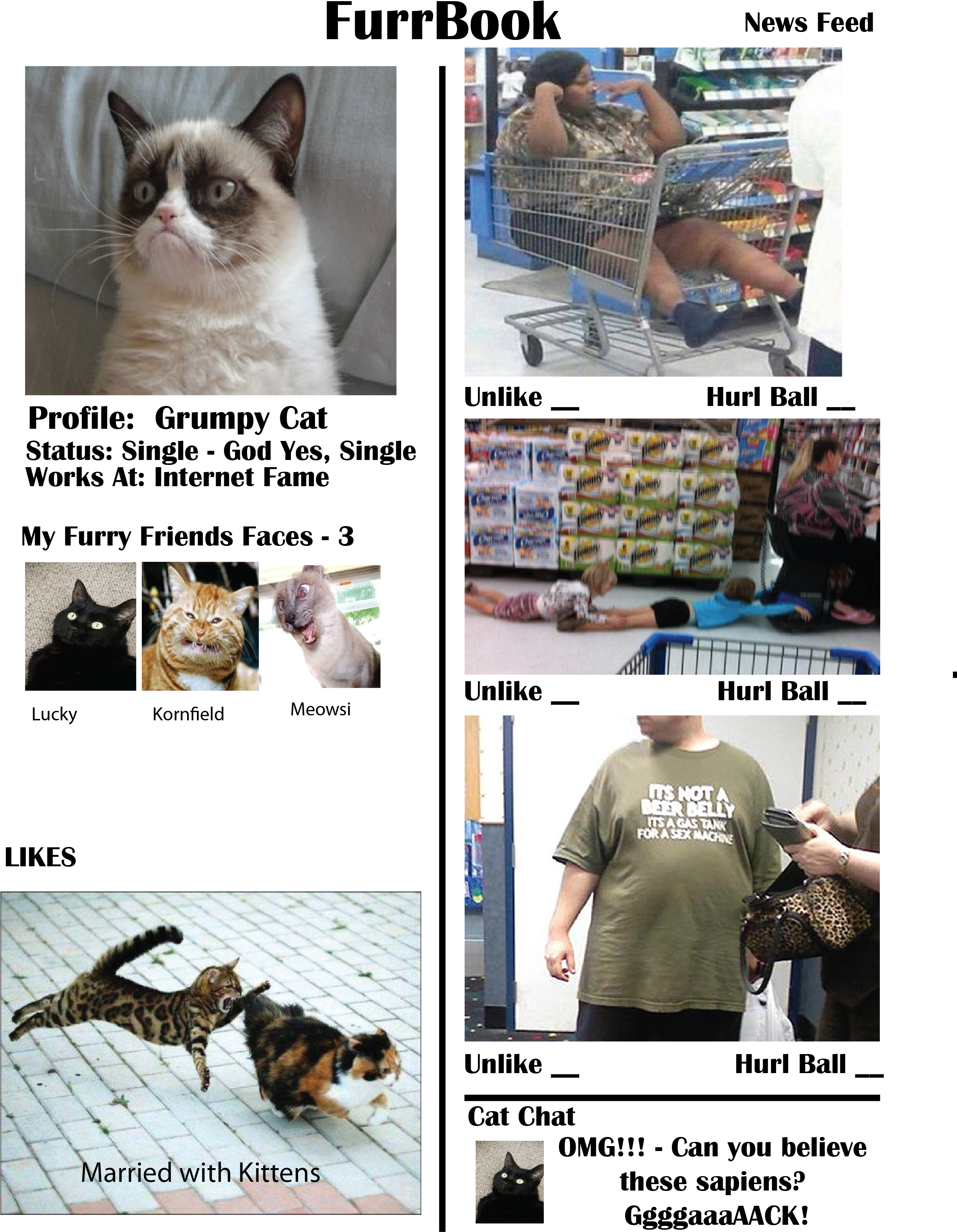 Of Course We'd Be Spying On Our Own Cats And Extending - Accoutrements Inflatable Unicorn Horn For Cats, One (2516x3263), Png Download