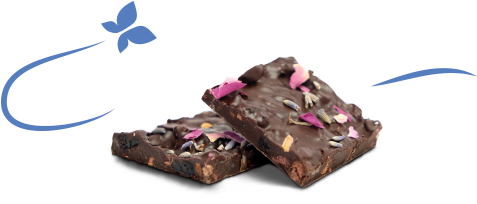 Gourmet Dark Chocolate Bark - Dark Chocolate (570x570), Png Download