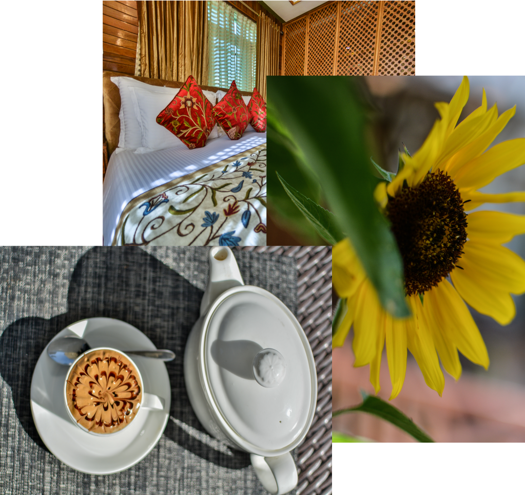 Relax In Our Resort - Sunflower (1023x963), Png Download