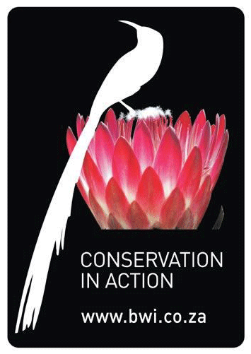Biodiversity & Wine Initiative - Protea (1200x500), Png Download