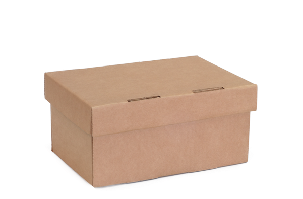 Segia Box 25x20x12 Cm - Swann Agencies (600x600), Png Download