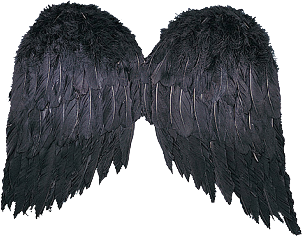 Фотки Black Angel Costume, Black Costume, Adult Halloween, - Angel Wings (667x833), Png Download