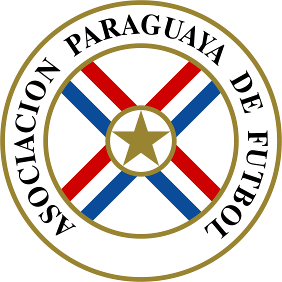 Paraguay 2015 Home Shirt For Copa America - Escudo De La Seleccion De Paraguay (564x564), Png Download