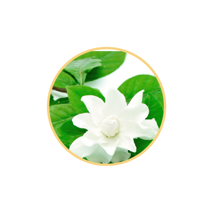 Gardenia Breeze - Artificial Flower (745x746), Png Download