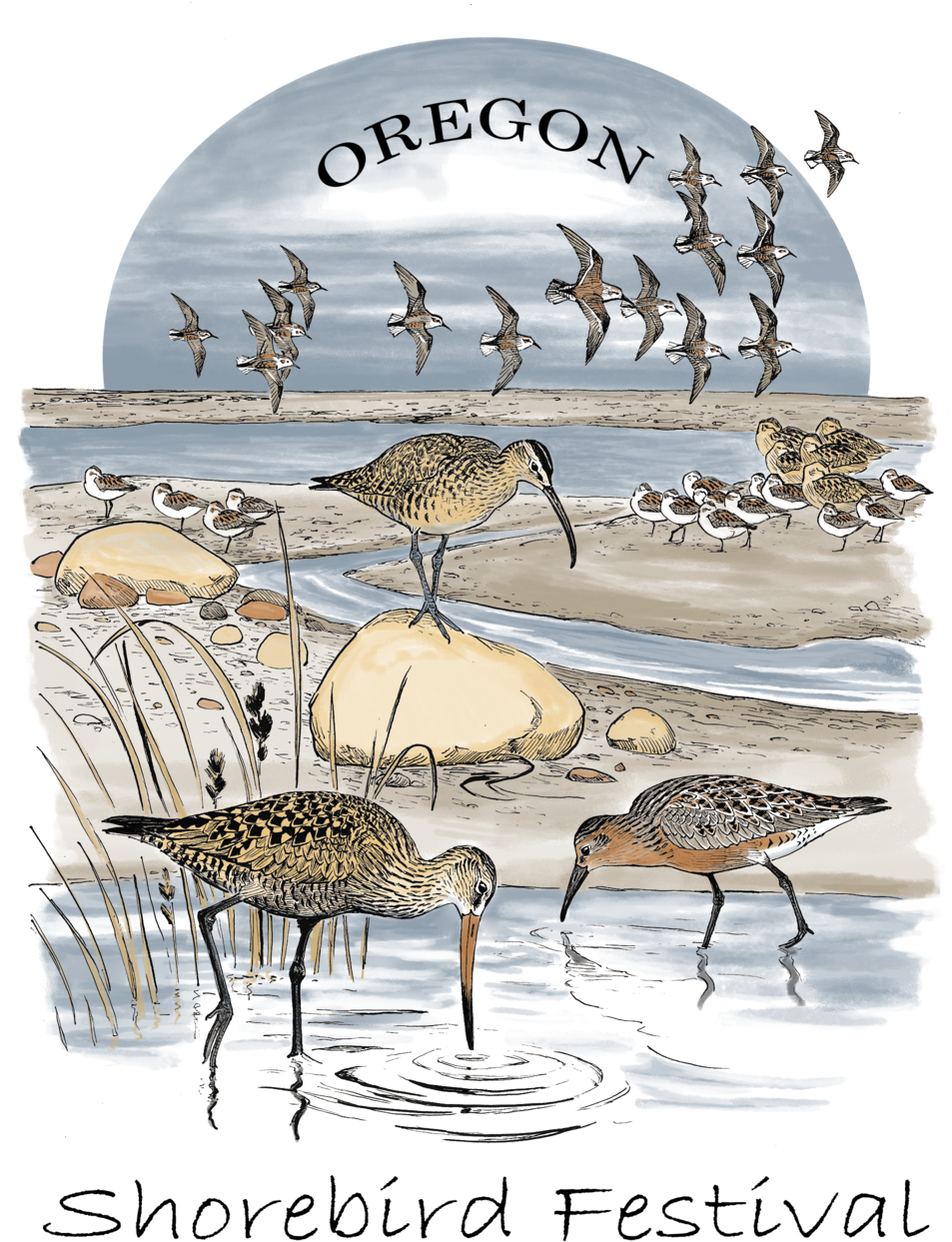 Original 2018 Shorebird Festival T-shirt Design By - Oregon (1000x1400), Png Download
