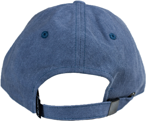 Roar Dad Hat - Airwalk Cap (600x600), Png Download