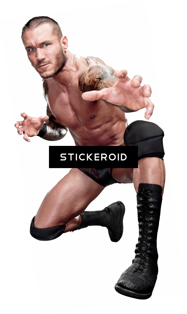 Randy Orton Wwe - Birthday Party Wwe Beverage Napkins (756x1272), Png Download