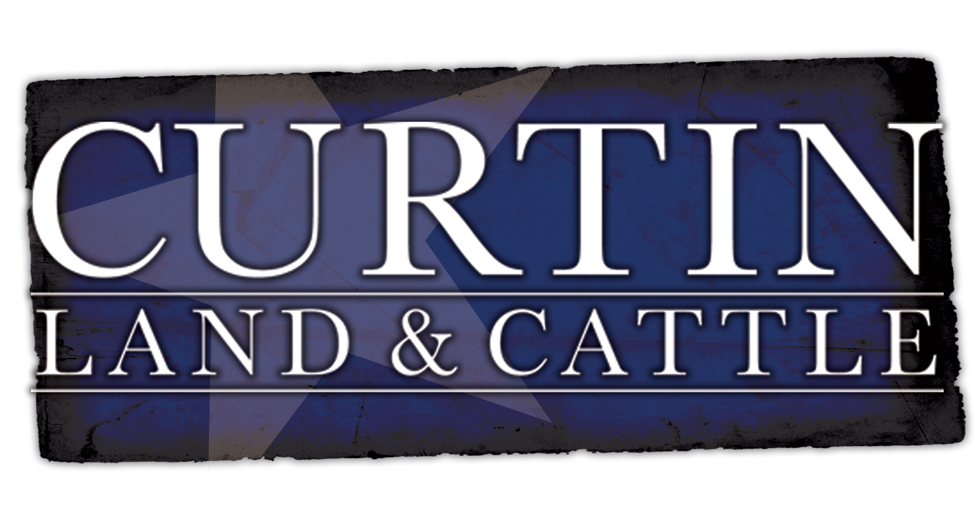 Curtin Land And Cattle Logo-2 (1000x545), Png Download