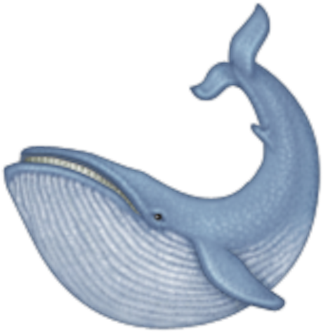 15emoji - Ios Whale Emoji (600x600), Png Download