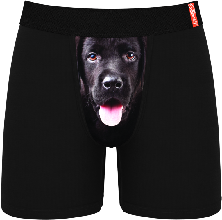 100 Facts Dogs Puppies By Camilla De La Bedoyere (1024x1024), Png Download