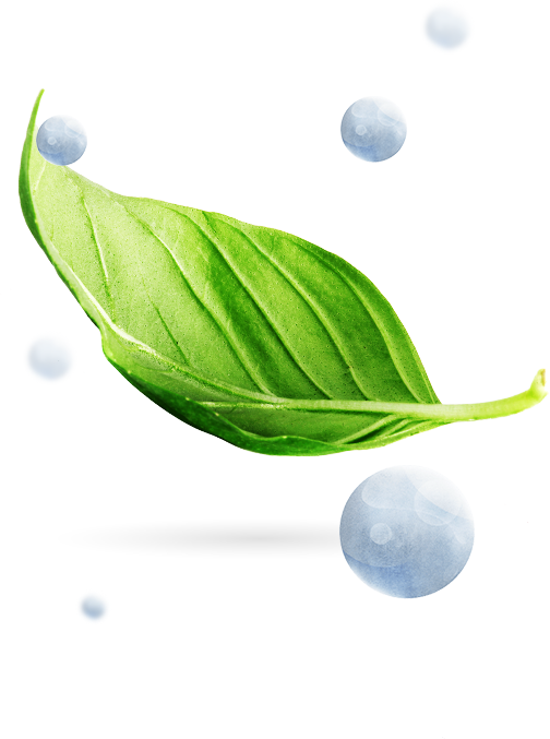 Mirai, Fuel Cell, Hydrogen, Plants - Fuel Cell (504x677), Png Download