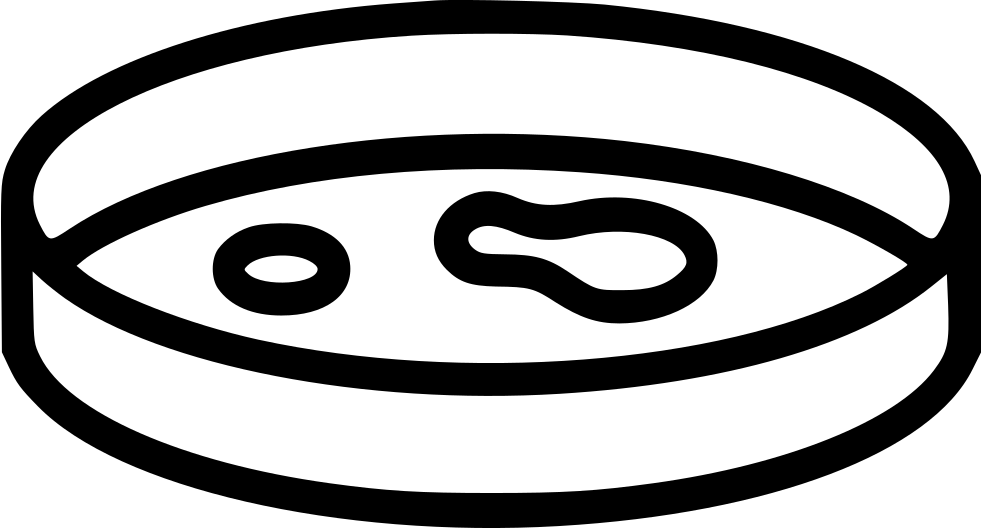 Petri Dish Comments - Us Steel Kosice Logo (981x528), Png Download