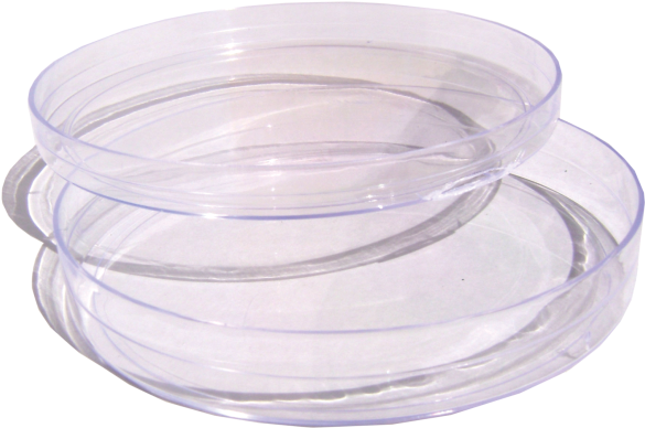 Labtech Disposables - Serveware (700x500), Png Download