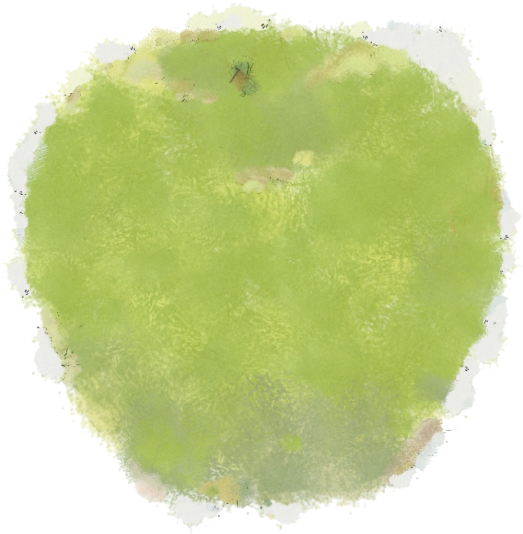 There Was Once A Little Boy That Like To Play In The - Apple (1476x1600), Png Download