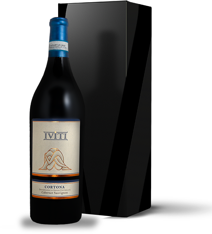 With The Terroir - Guinness (794x754), Png Download