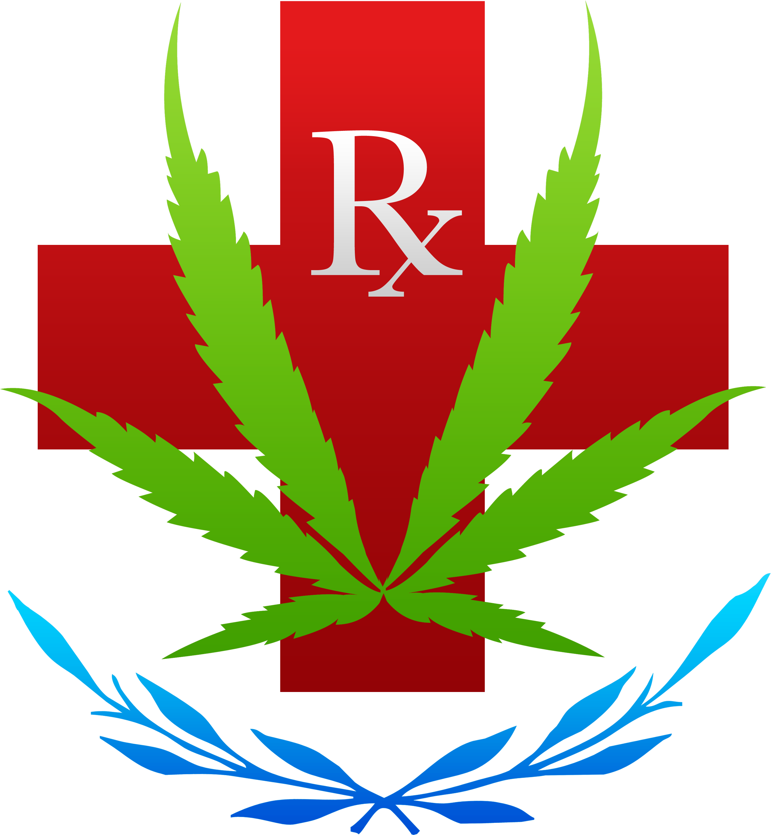 Download Transparent Image • - Medical Prescription (2700x3600), Png Download