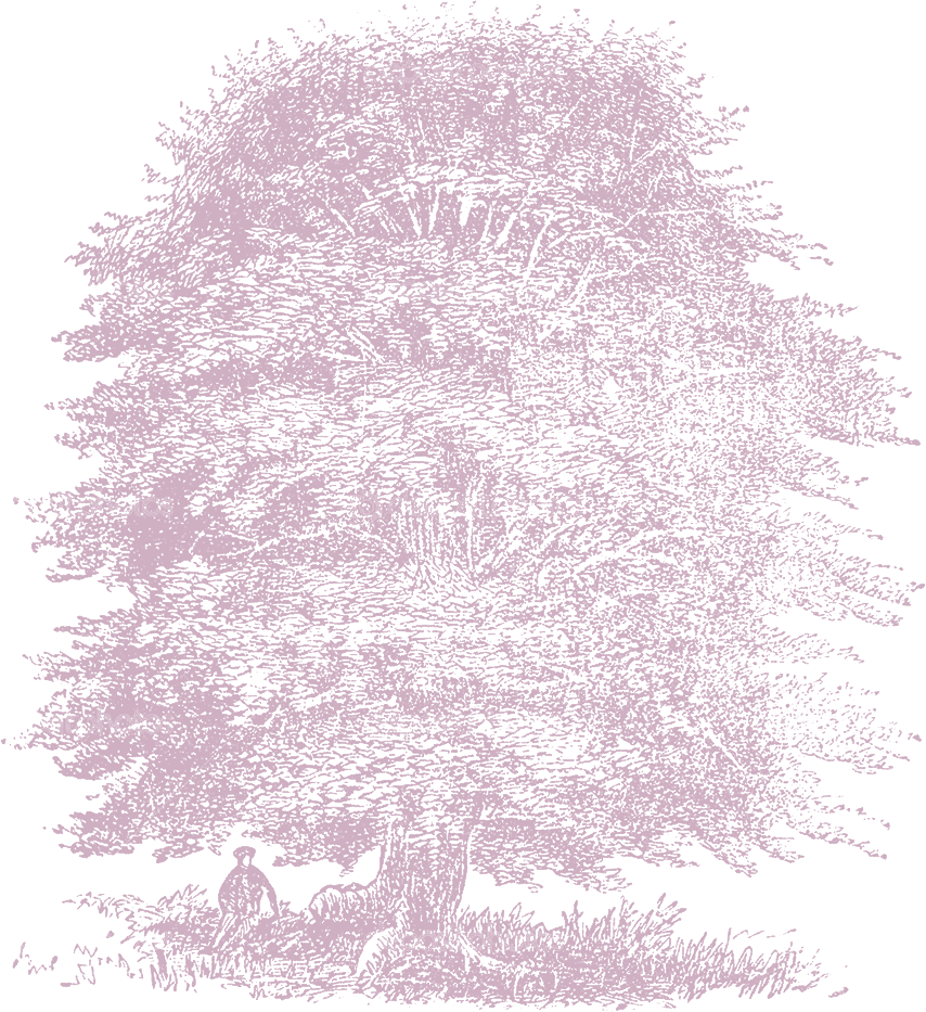 Linograph Green Tree - Tree (854x933), Png Download