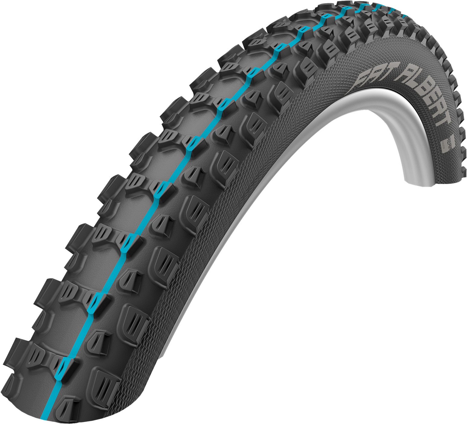 Schwalbe Fat Albert Rear Addix Speedgrip Snakeskin - Schwalbe Fat Albert Evo 29" Addix Folding (1920x1440), Png Download