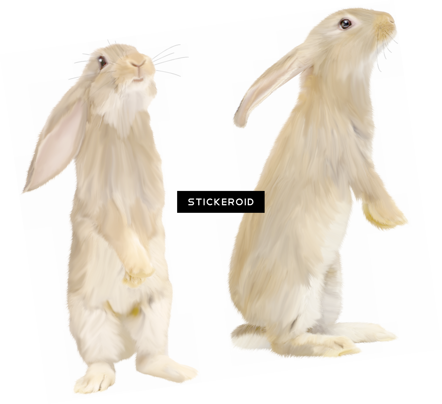 Rabbit - Portable Network Graphics (1819x1663), Png Download