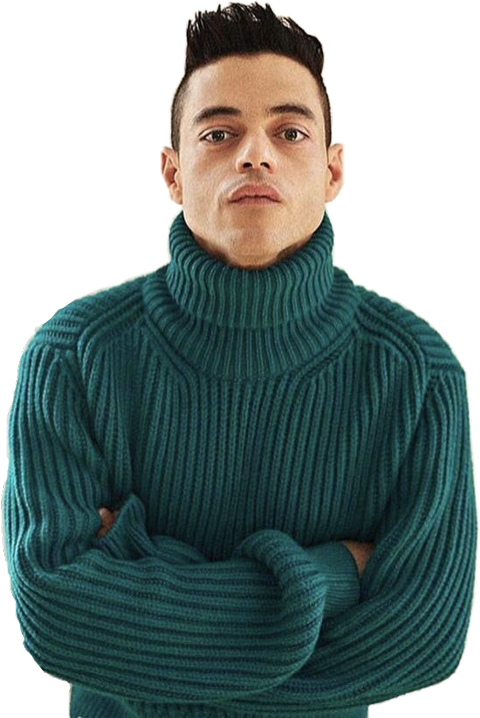 Rami Malek (480x718), Png Download