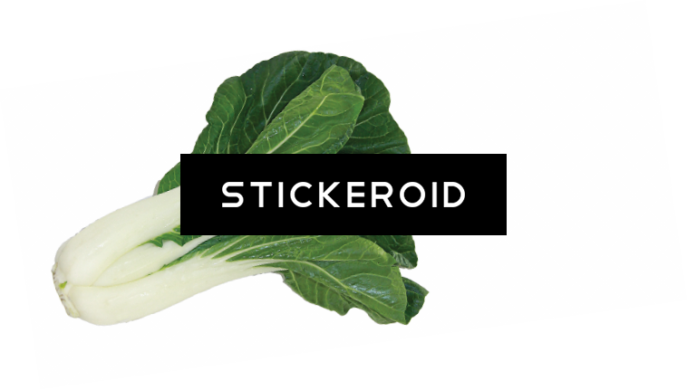 Bok Choy Food - Chard (758x431), Png Download