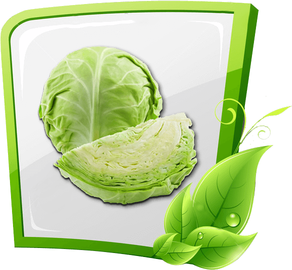Our Product & Services - Cabbage (646x588), Png Download