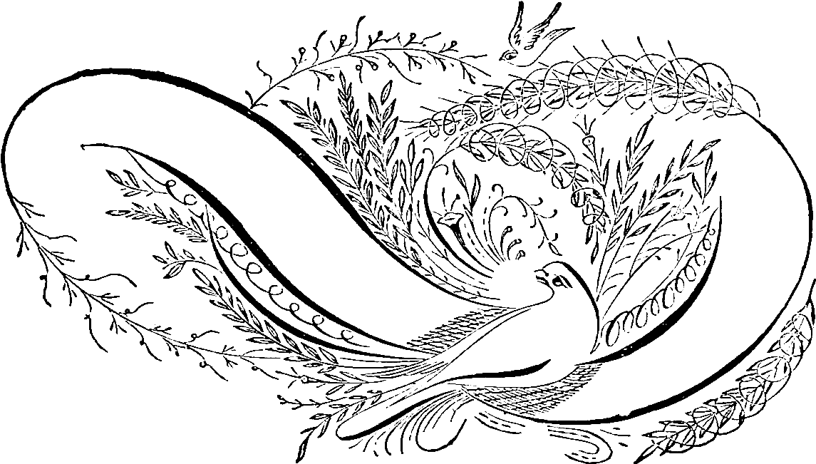 This Is An Amazing Label Digital Stamp From An Antique, - Calligraphy (1516x953), Png Download