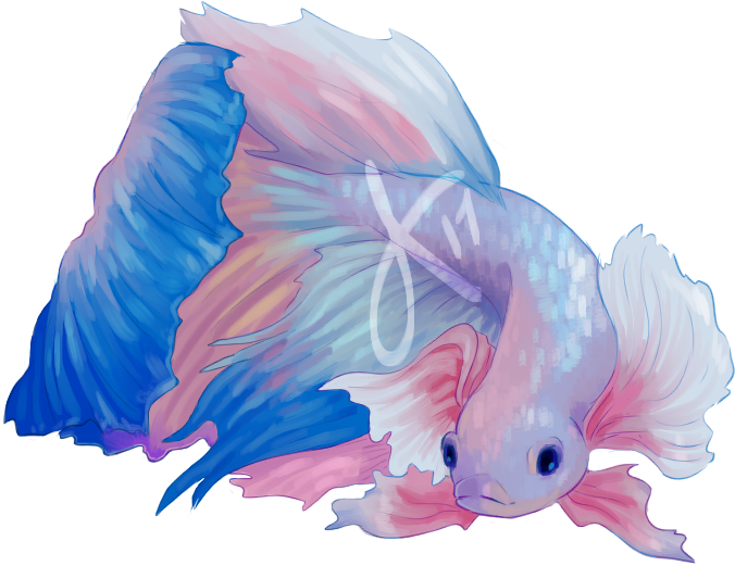 Clip Freeuse Download Good Better - Fish Tumblr Transparent (700x600), Png Download
