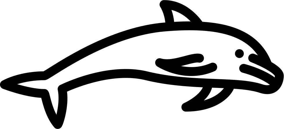 Dolphin Jumping Comments - Portable Network Graphics (981x446), Png Download