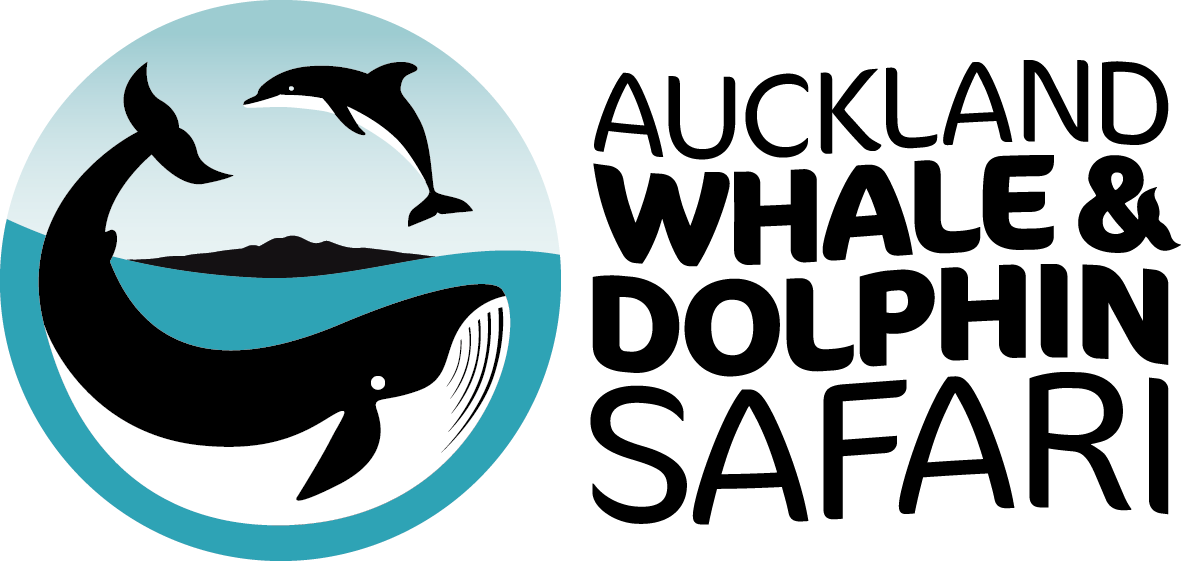 Auckland Whale And Dolphin Safari With Free Photo - Auckland Whale And Dolphin Safari Logo (1181x561), Png Download
