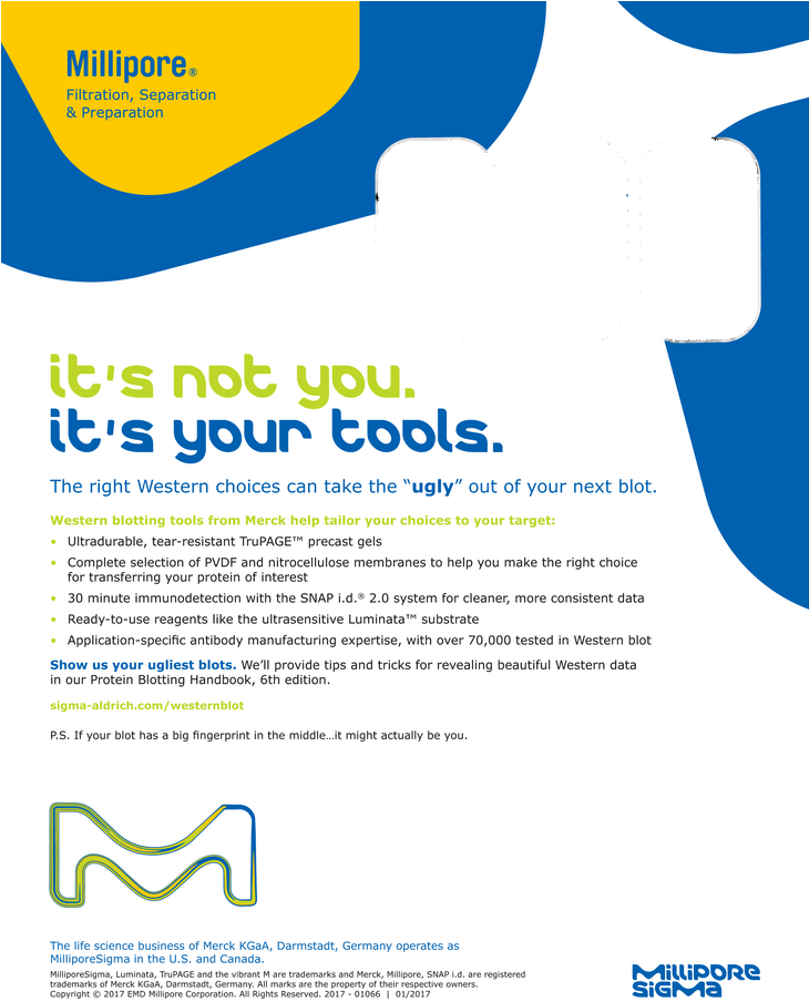 Download Millipore Sigma Full Size PNG Image PNGkit