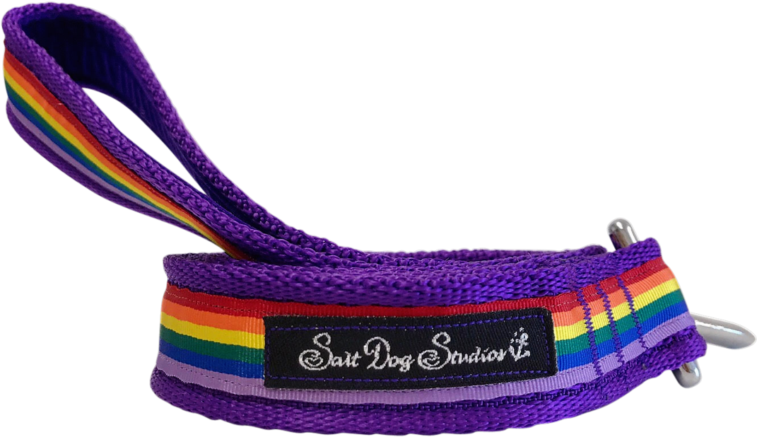 Purple Rainbow Ribbon Dog Lead - Dog (1280x932), Png Download