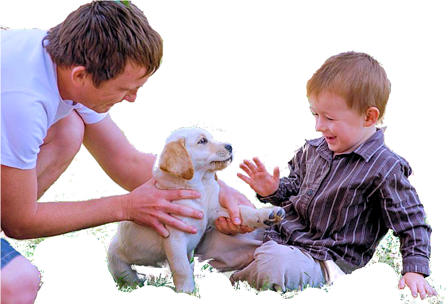 Puppy Biting Boy Hand - Toddler (900x599), Png Download