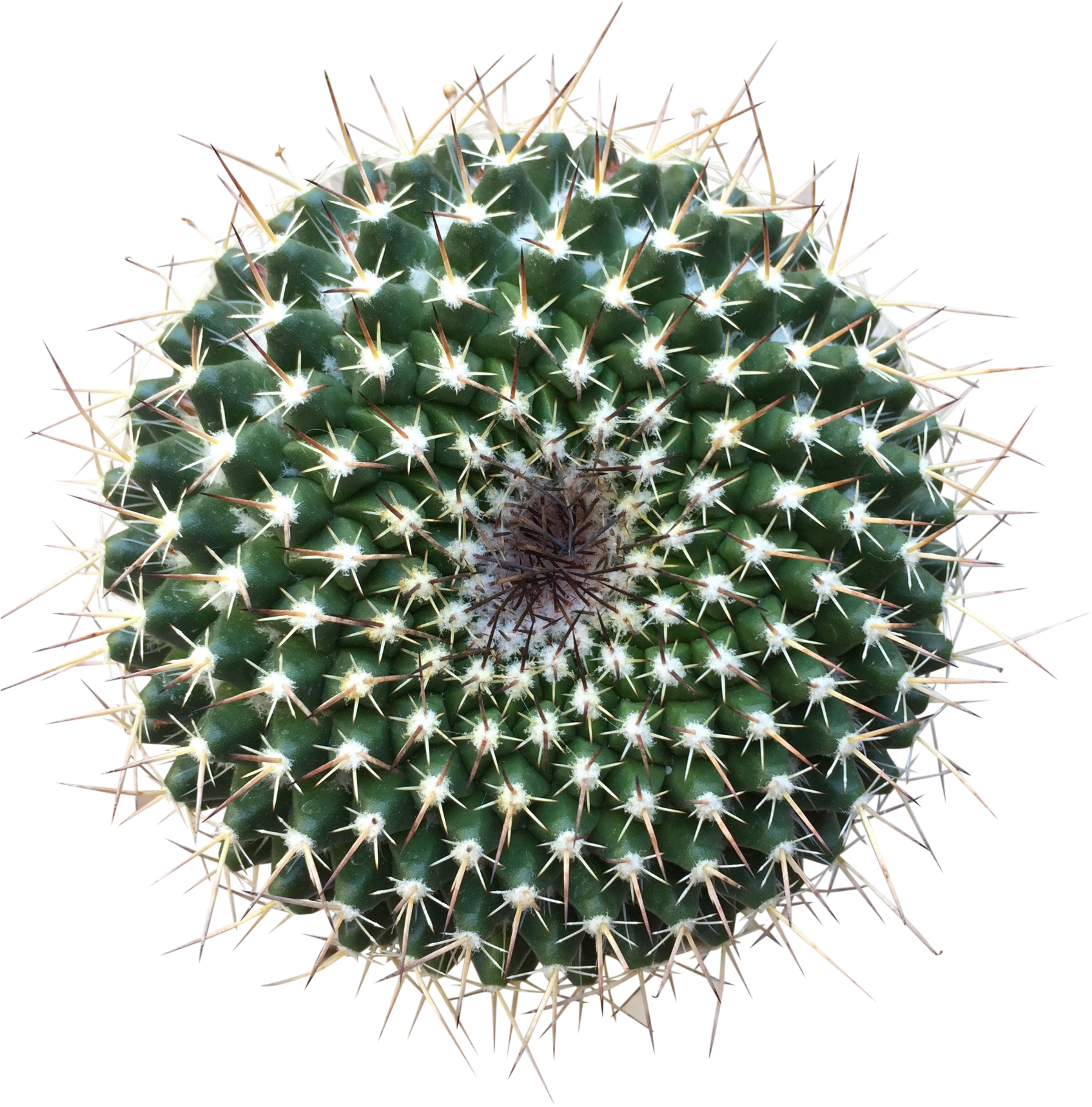 Silver Arrows - Design (1730x1730), Png Download