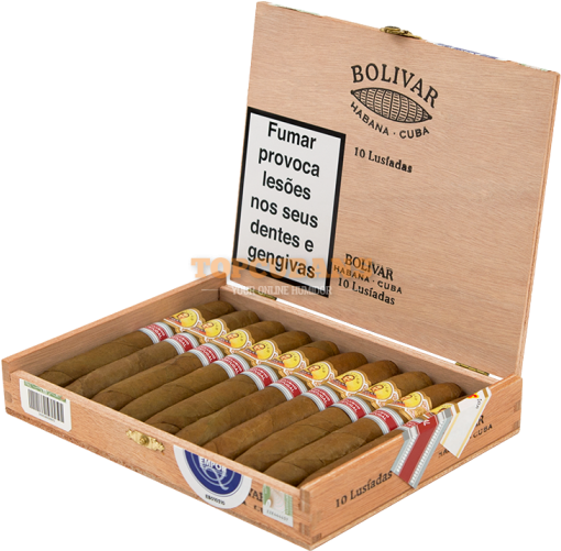 Vegas Robaina Short Robaina Andorra Regional Production - Ammunition (560x560), Png Download