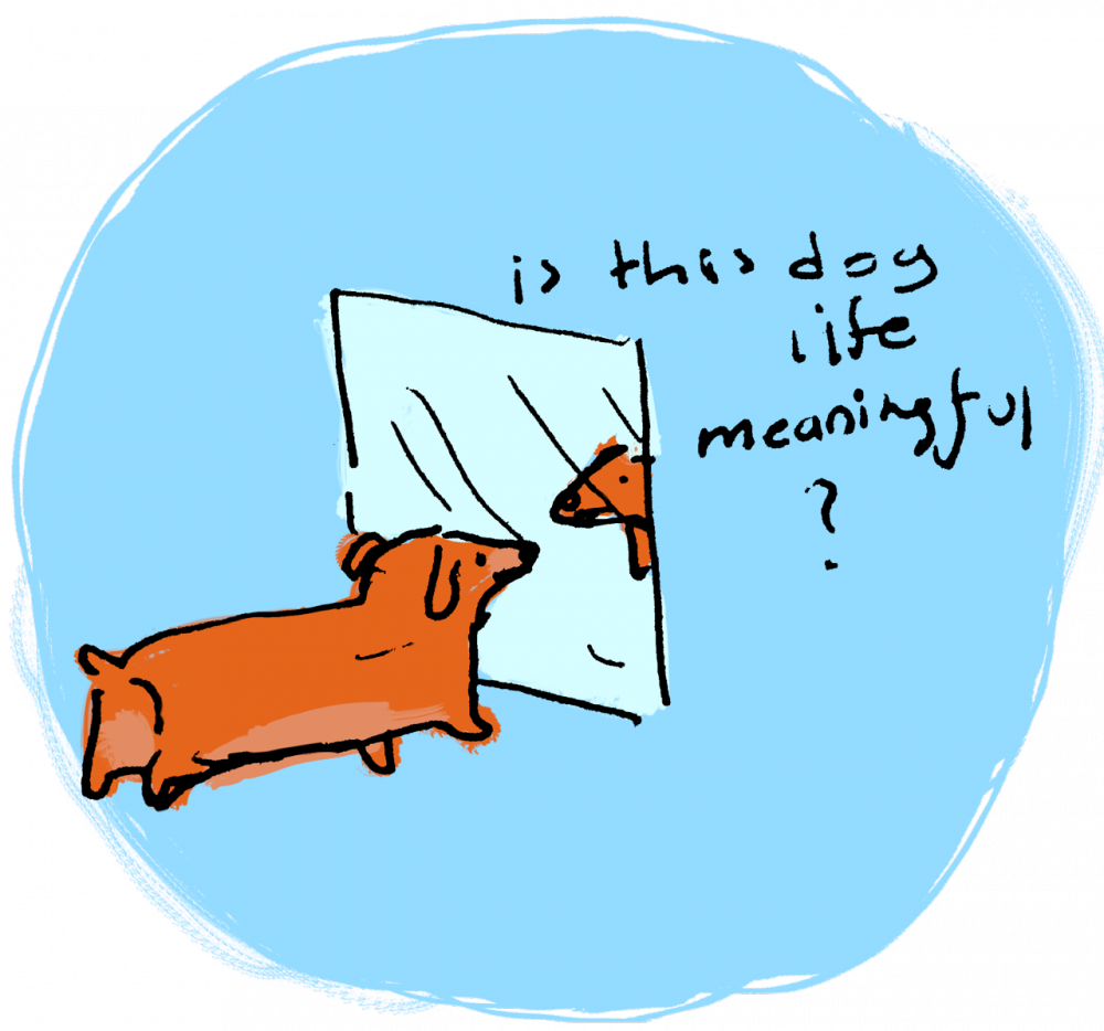 Doglife - Cartoon (1000x934), Png Download