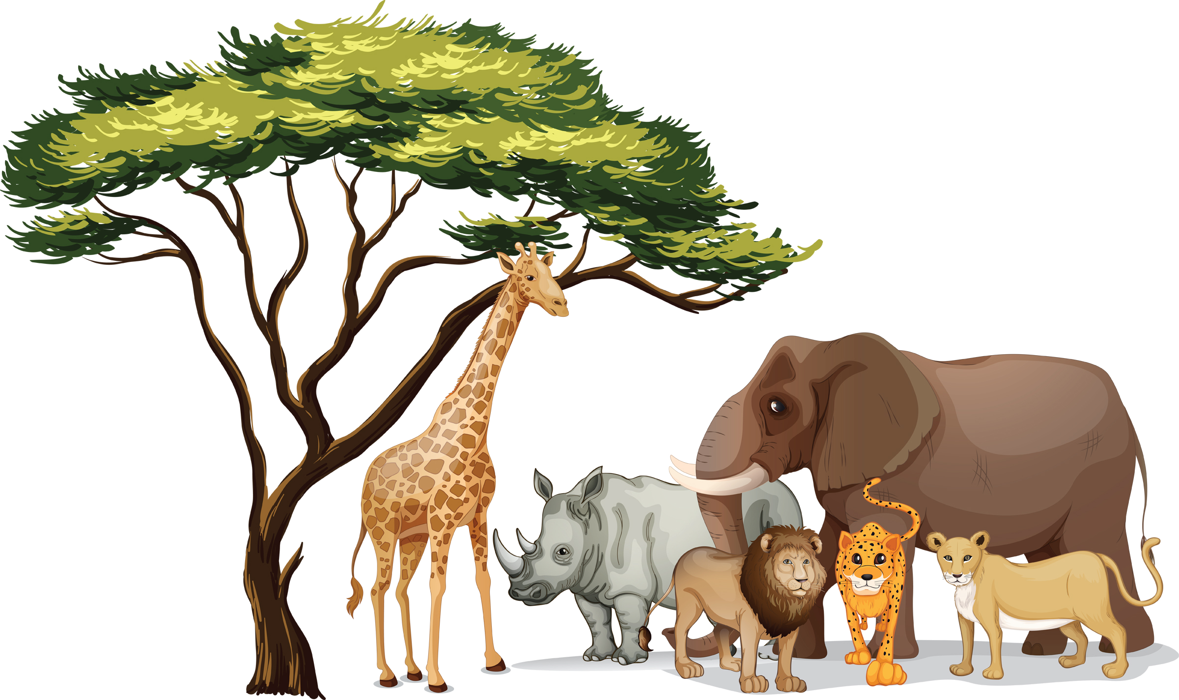 Jungle Theme (2400x1425), Png Download
