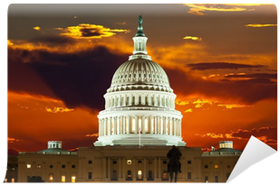 United States Capitol Building Under A Display (400x400), Png Download