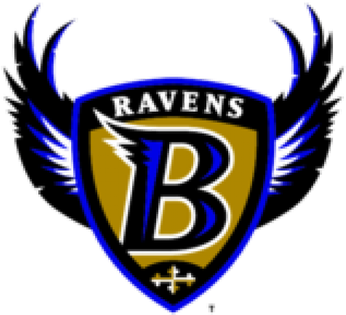 1996 Baltimore Ravens Logo (640x480), Png Download