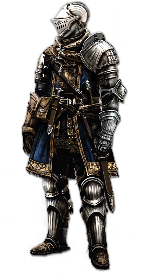 Dark Souls - Dark Souls Cosplay Elite Knight (600x1079), Png Download